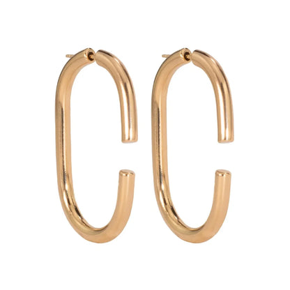 Dynamic Hoops Earrings